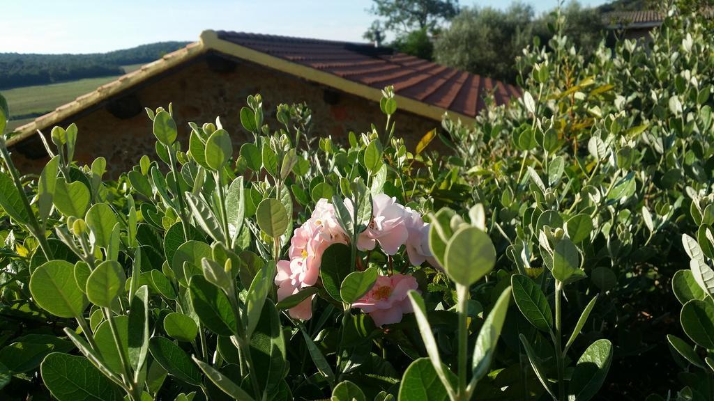 Agriturismo Il Cerrosughero Villa Scarlino Eksteriør billede